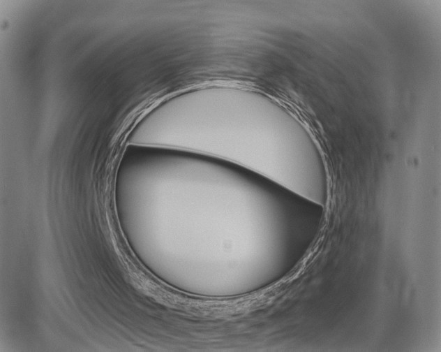 X0000084580001200702230947