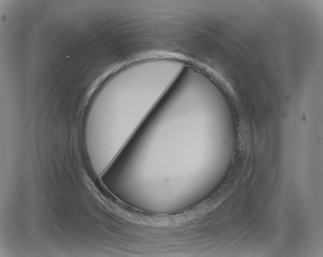X0000084580015200702230947