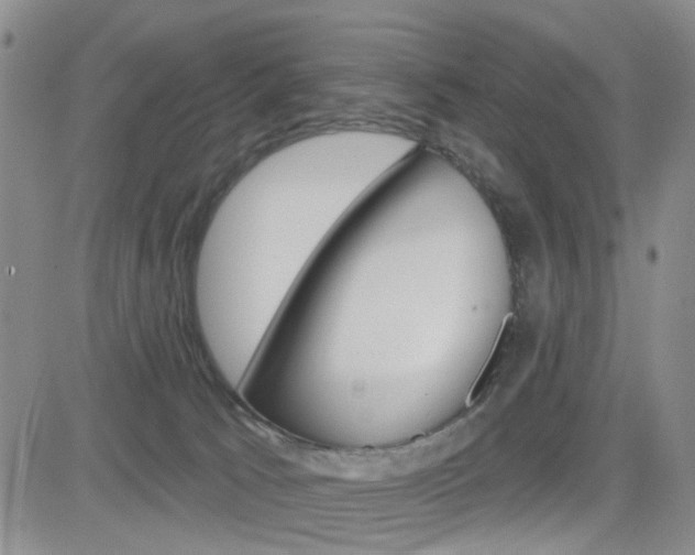 X0000084580033200702230947
