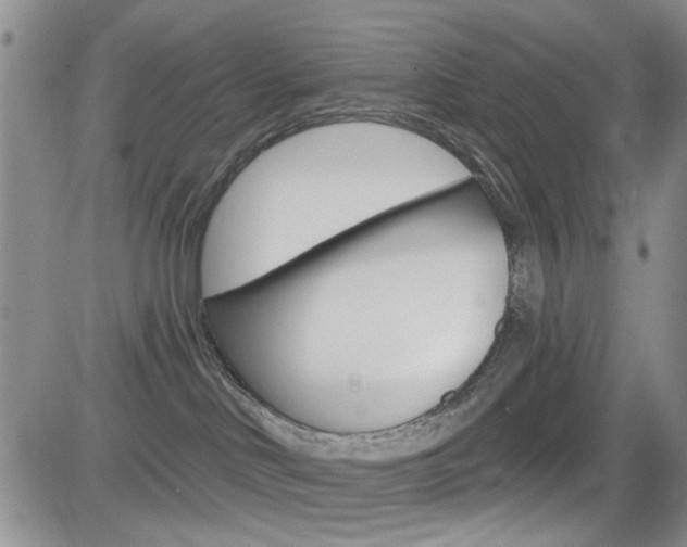 X0000084580046200702230947