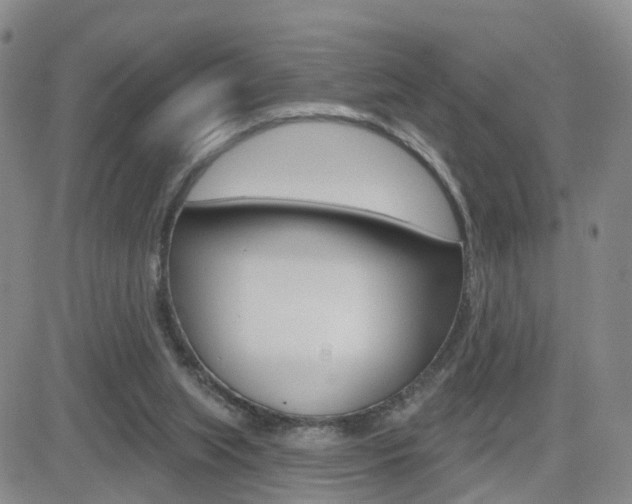 X0000084580063200702230946