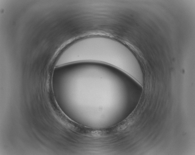 X0000084580064200702230946
