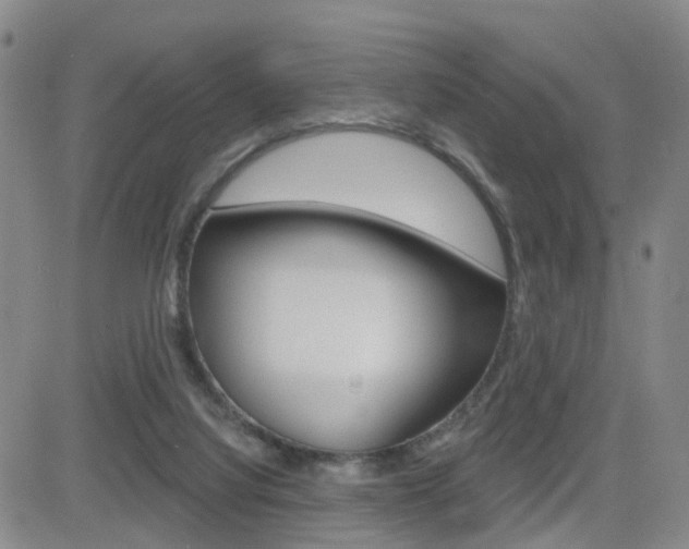 X0000084580068200702230946