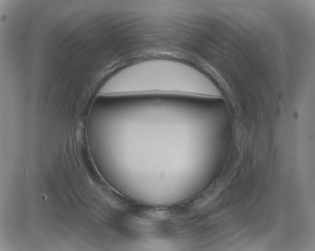 X0000084580071200702230946