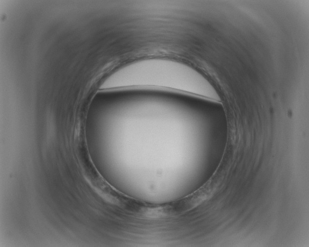 X0000084580072200702230946