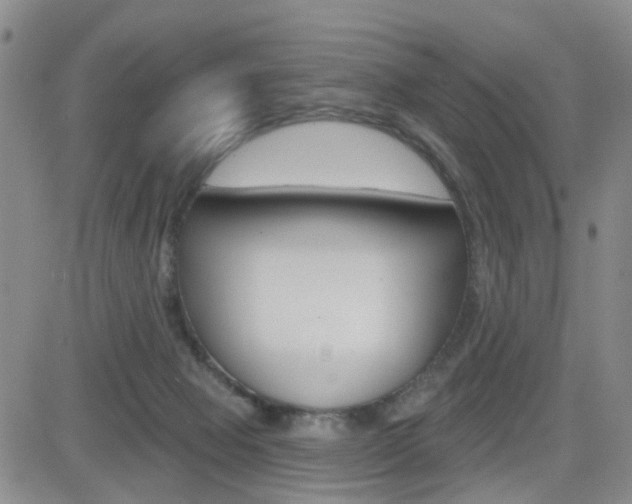 X0000084580077200702230946
