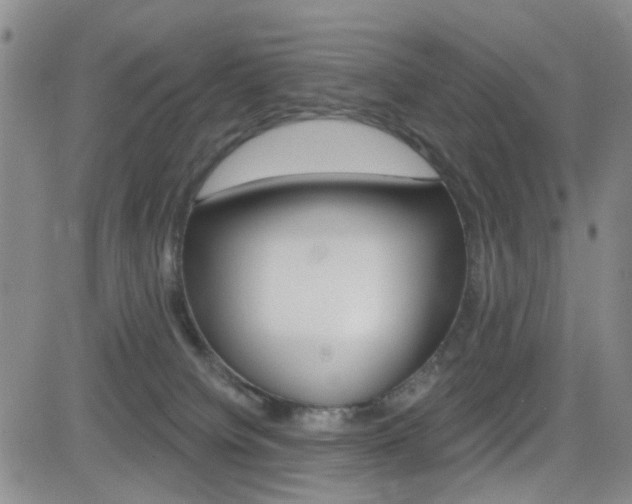 X0000084580084200702230946