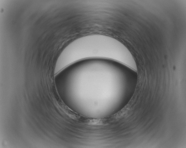 X0000084580088200702230946