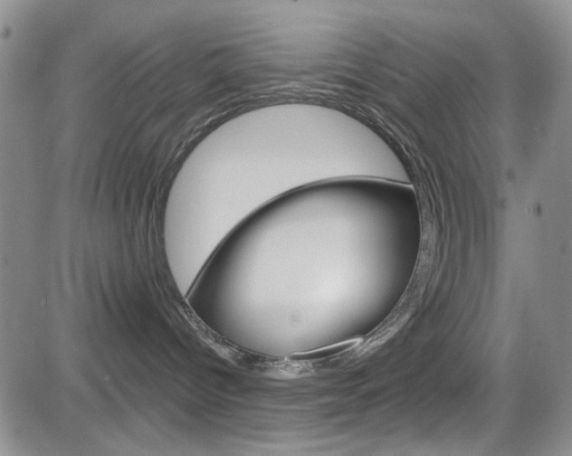 X0000084580096200702230946