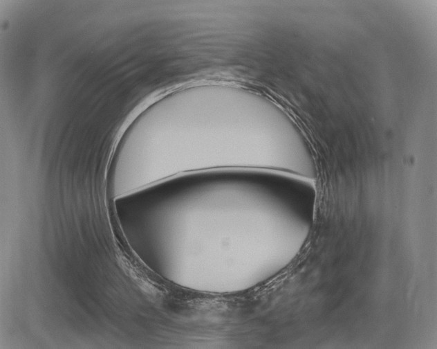 X0000084580100200702230946