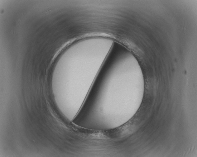 X0000084580112200702230945