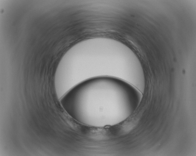 X0000084580125200702230945