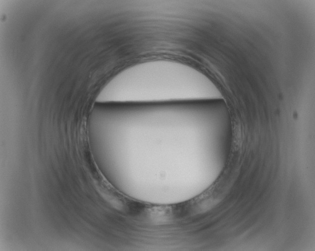X0000084580126200702230945