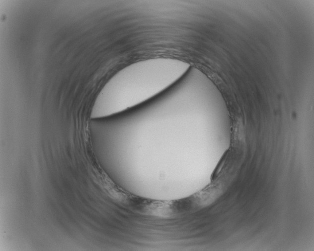 X0000084580138200702230945
