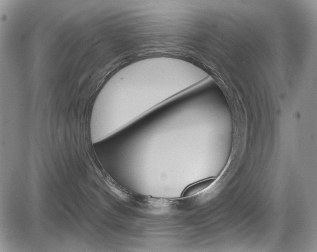 X0000084580144200702230945