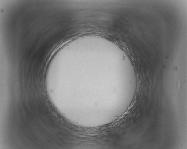 X0000084580146200702230944