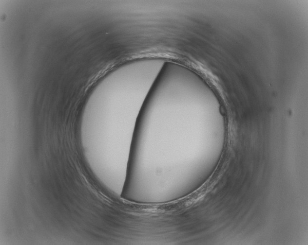 X0000084580153200702230944