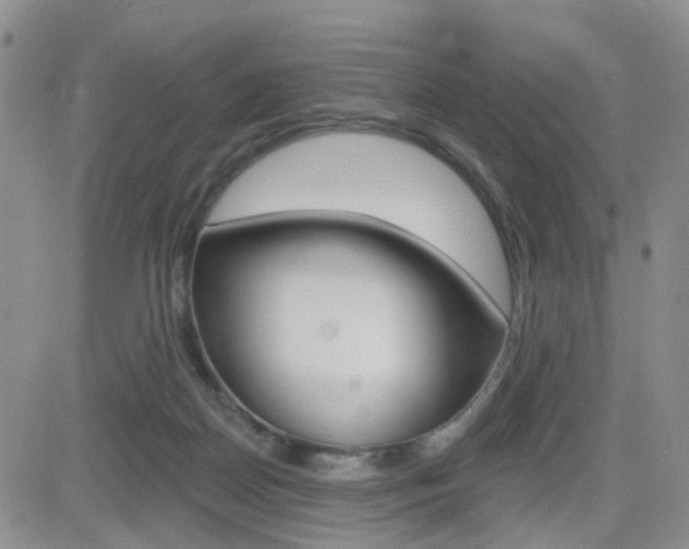 X0000084580170200702230944