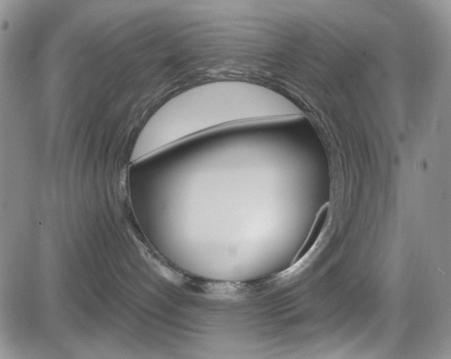 X0000084580192200702230945