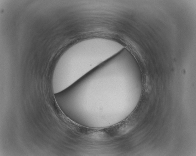 X0000084580210200702230944