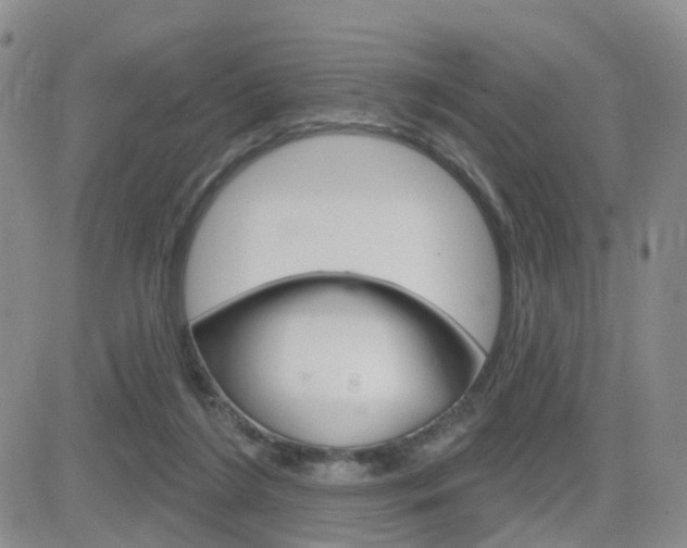 X0000084580212200702230944