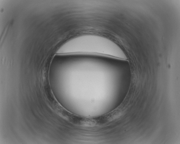 X0000084580215200702230944