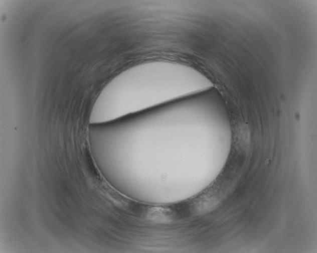 X0000084580222200702230944
