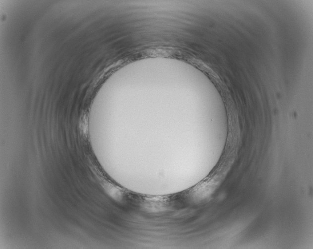 X0000084580240200702230943