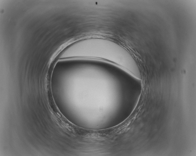 X0000084580244200702230942