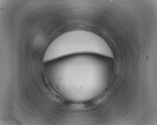 X0000084580266200702230943