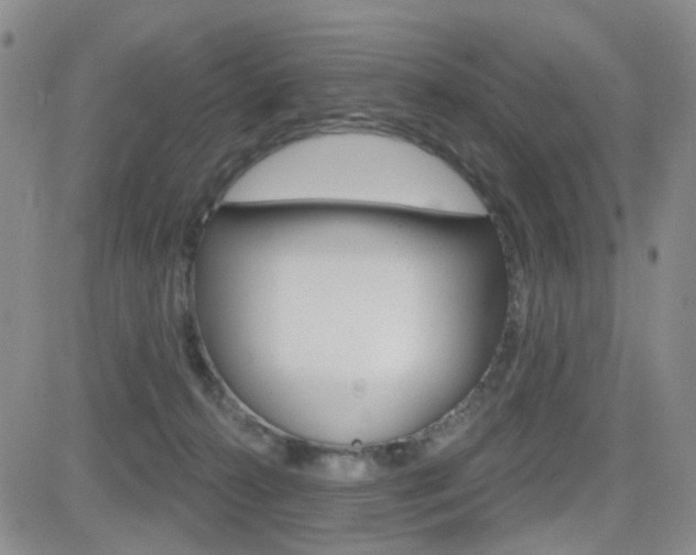 X0000084580272200702230943