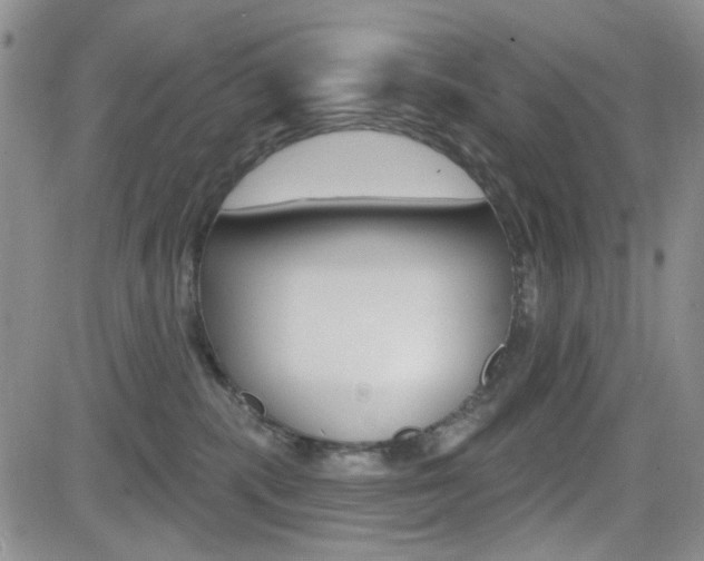 X0000084580283200702230943