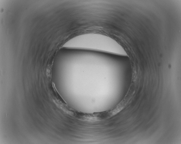 X0000084580284200702230943