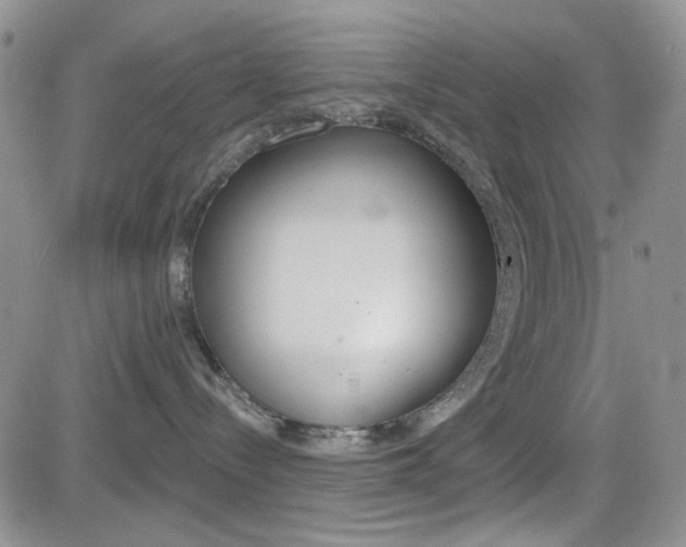 X0000084580288200702230943
