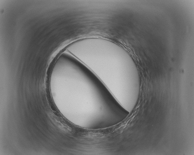 X0000084580292200702230942