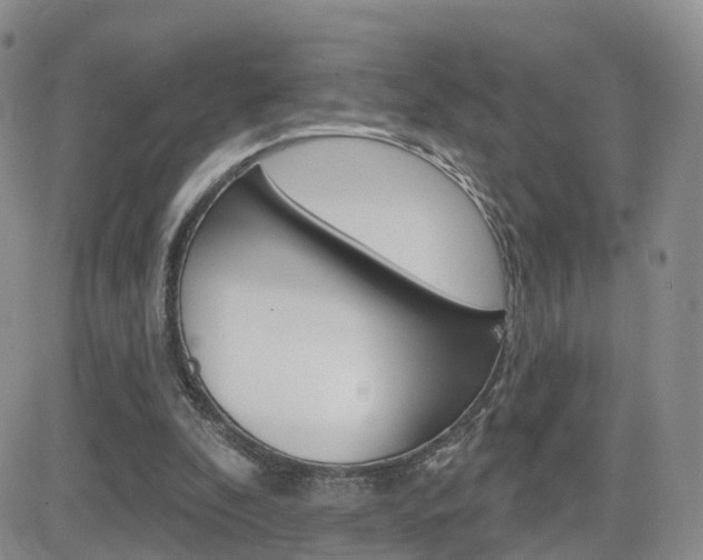 X0000084580296200702230942