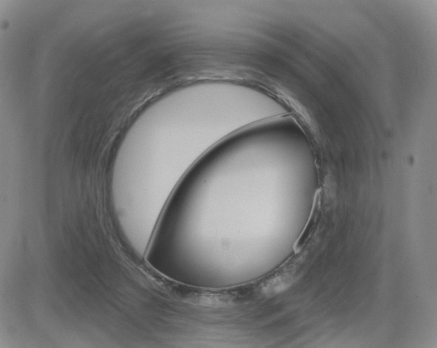 X0000084580305200702230942