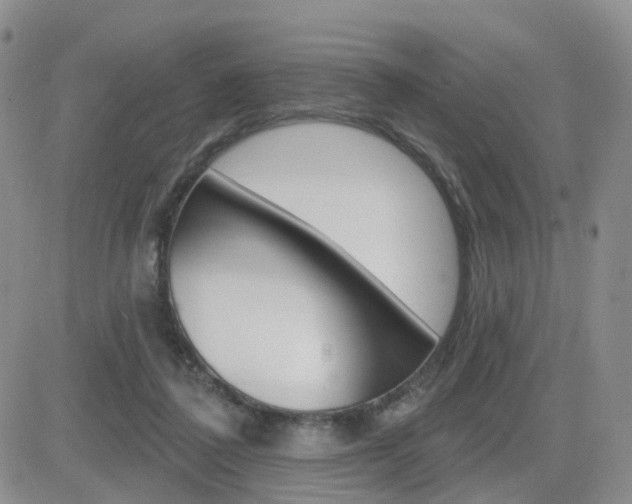 X0000084580308200702230942