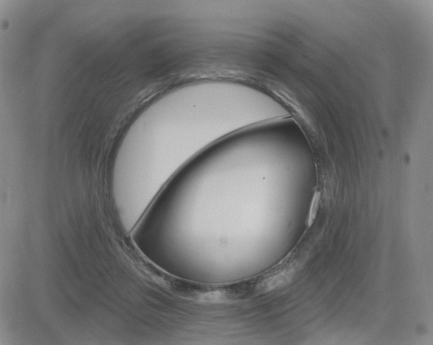 X0000084580309200702230942
