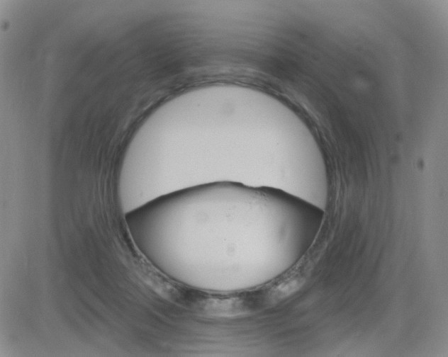 X0000084580314200702230942