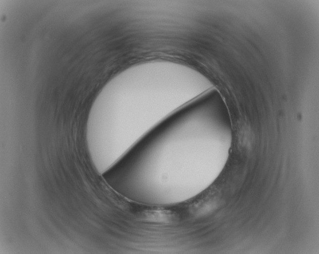 X0000084580316200702230942