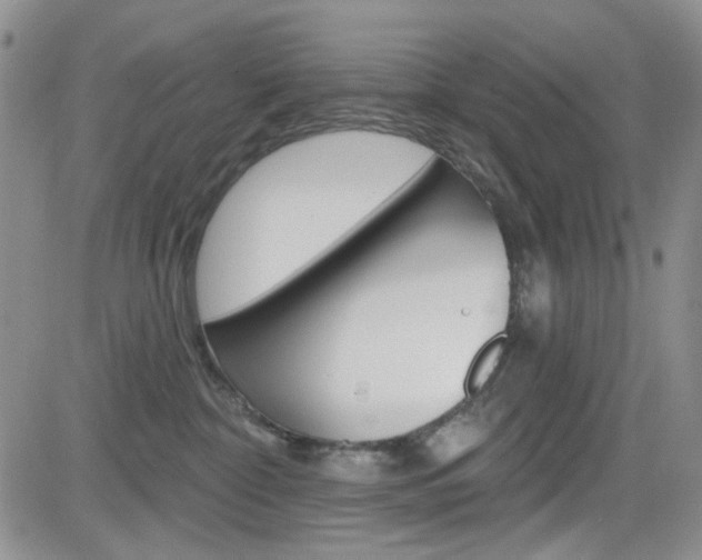 X0000084580332200702230942