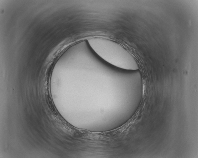 X0000084580339200702230941