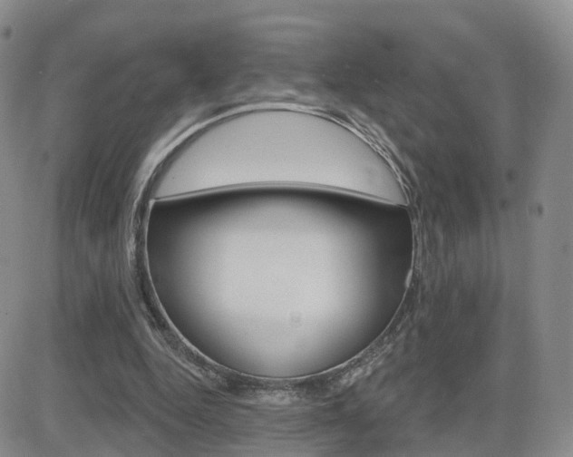 X0000084580344200702230941