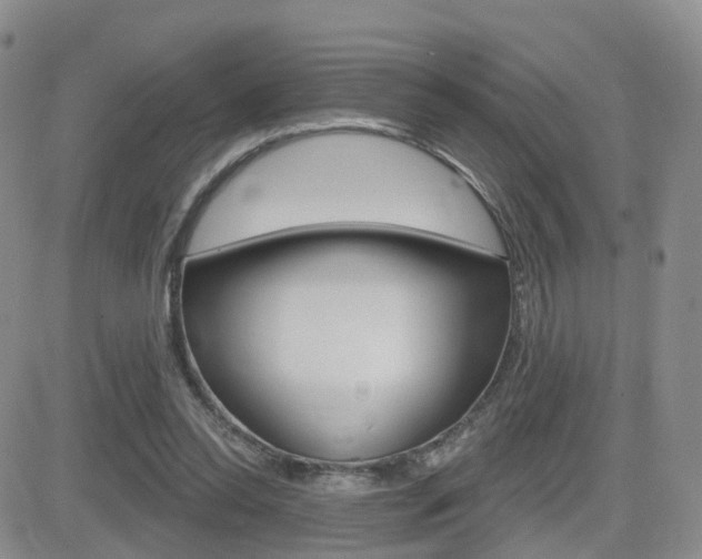X0000084580350200702230941