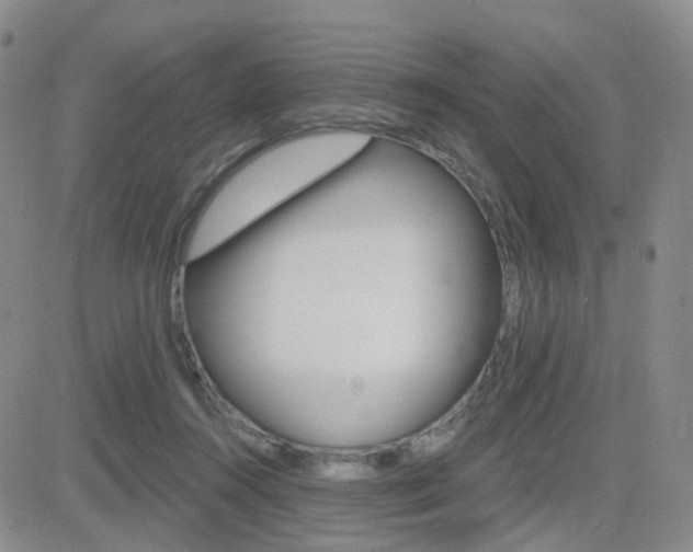 X0000084580360200702230941