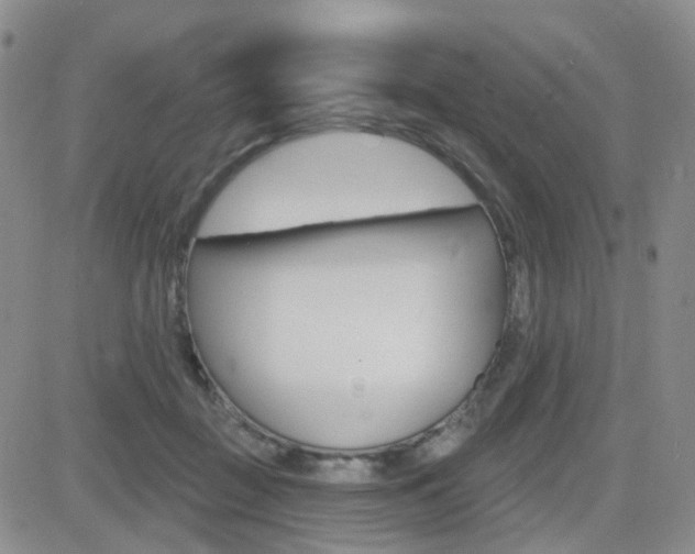 X0000084580363200702230941