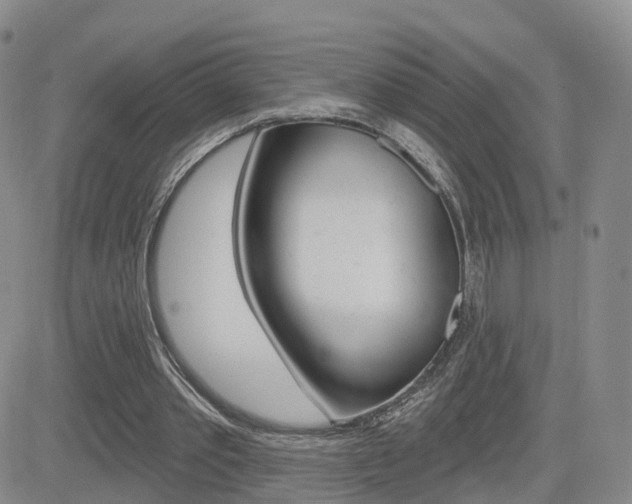 X0000084580389200702230941