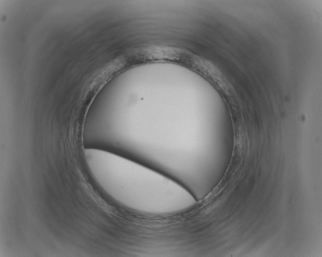 X0000084580402200702230941