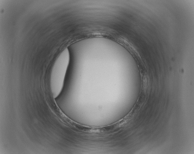 X0000084580406200702230940